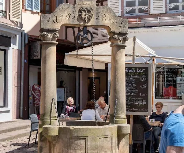 Sous Les Tilleuls Parking Hypercentre 4-6 Personnes * Colmar